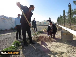 در راستای پویش ملی همکاشت  150اصله نهال در محوطه آموزشکده فنی کشاورزی امین غرس شد.