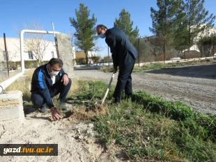 در راستای پویش ملی همکاشت  150اصله نهال در محوطه آموزشکده فنی کشاورزی امین غرس شد.