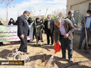 کاشت 135اصله درخت مثمروغیرمثمر به مناسبت روزدرختکاری وهفته منابع طبیعی در آموزشکده فنی دختران میبد
 3