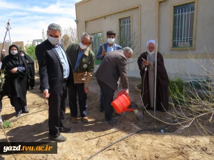 کاشت 135اصله درخت مثمروغیرمثمر به مناسبت روزدرختکاری وهفته منابع طبیعی در آموزشکده فنی دختران میبد
 5