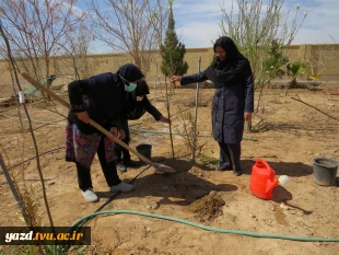 کاشت 135اصله درخت مثمروغیرمثمر به مناسبت روزدرختکاری وهفته منابع طبیعی در آموزشکده فنی دختران میبد
 7