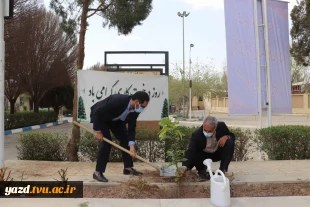 برگزاری آئین درختکاری با حضور ریاست منابع طبیعی و آبخیزی استان یزد در آموزشکده فنی امام علی(ع)یزد 3