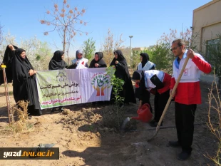 کاشت نهال به مناسبت روز درختکاری وهفته منابع طبیعی در آموزشکده فنی دختران میبد
 2