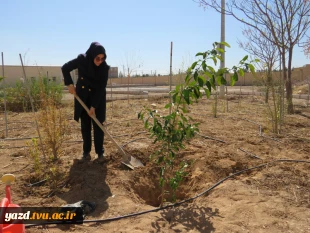 کاشت نهال به مناسبت روز درختکاری وهفته منابع طبیعی در آموزشکده فنی دختران میبد
 2