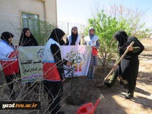 کاشت نهال به مناسبت روز درختکاری وهفته منابع طبیعی در آموزشکده فنی دختران میبد
 2