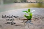 بلند شو و در قنوتت دعا کن که همه پیدا شویم
ما برای تو، تو برای ما... 2