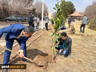 برگزاری مراسم روز درختکاری در آموزشکده امام علی (ع) یزد
 11