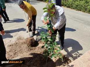 مراسم کاشت درخت به یاد شهیدان انقلاب اسلامی در دانشگاه ملی مهارت استان یزد 2