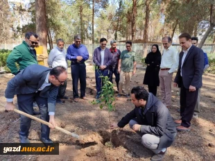 مراسم کاشت درخت به یاد شهیدان انقلاب اسلامی در دانشگاه ملی مهارت استان یزد 7