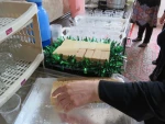برگزاری ایستگاه صلواتی به مناسبت تولد حضرت معصومه(س) وروز دختر
 2