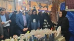 حضور آموزشکده ملی مهارت دختران میبد در هشتمین بازارچه دانشجویی ودستاوردهای مراکز دانشگاه ملی مهارت
 5