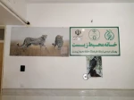 بازدید جمعی از دانشجویان خوابگاه شقایق مرکز دختران میبد ازموزه مارهای میبد
 2