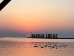 برگزاری نشست علمی، به مناسبت دهه ی سرآمدی آموزشی،( توسعه ی فن آوری های راهبردی)
 2