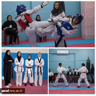 راه‌یابی تعدادی از دانشجویان آموزشکده ملی مهارت دختران یزد به المپیاد کشوری کاراته و تکواندو