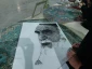 ورکشاپ زنده دانشجویان آموزشکده ملی مهارت دختران میبد در سالگرد ارتحال رهبیر کبیر انقلاب