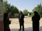 بازدید دکتر شمامی مدیر کل محترم امور دانشجویی دانشگاه ملی مهارت از آموزشکده ملی مهارت دختران میبد